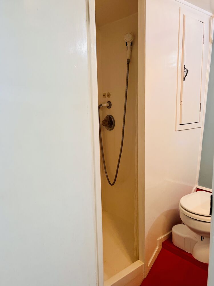 The full-size shower in the head, with a handheld sprayer.
